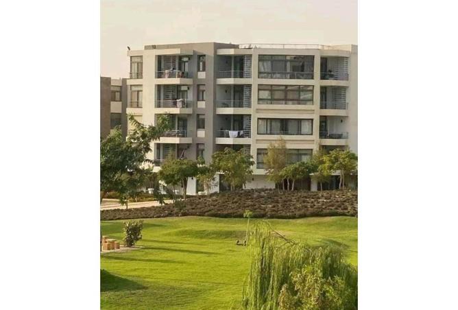 53985626 - Property Image 3