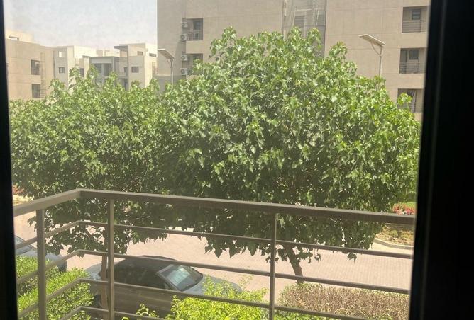 55498283 - صورة العقار 3