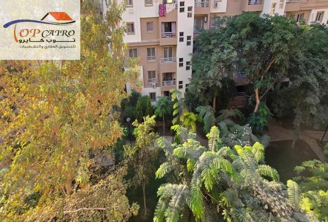 8486213 - Property Image 3