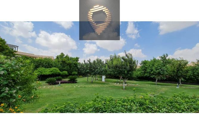 8554653 - Property Main Image