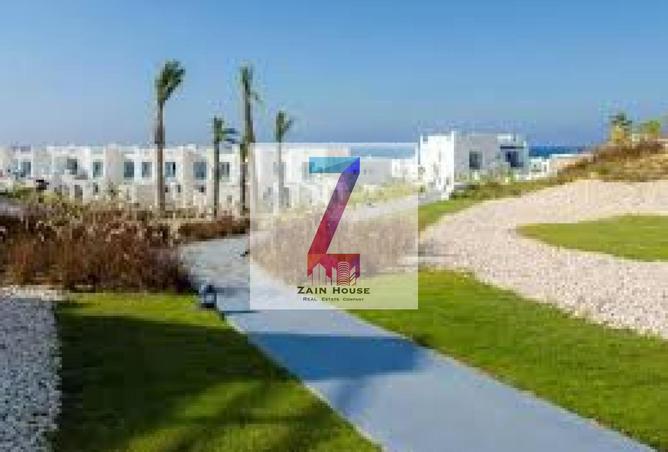 58496341 - Property Image 3