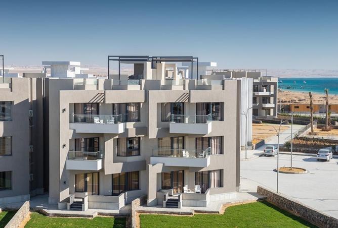 56004760 - Property Image 3