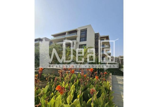 53731926 - صورة العقار 3