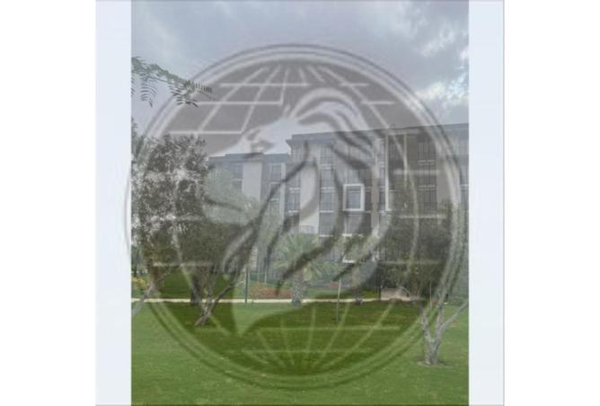 79720026 - صورة العقار 2