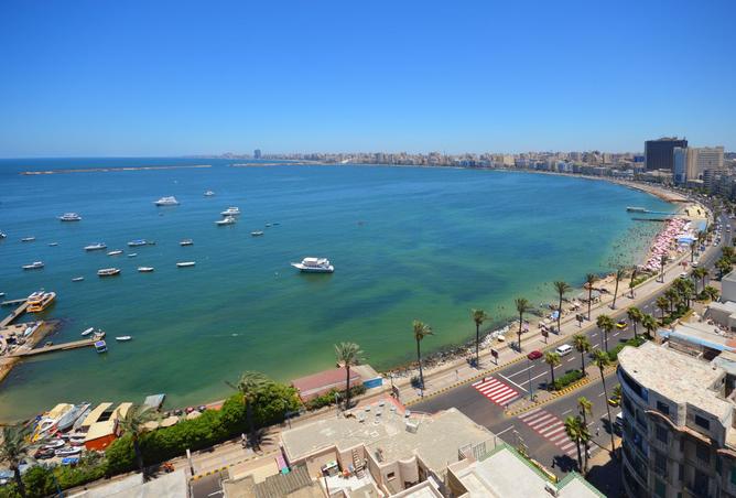 91861642 - الصورة الرئيسية للعقار