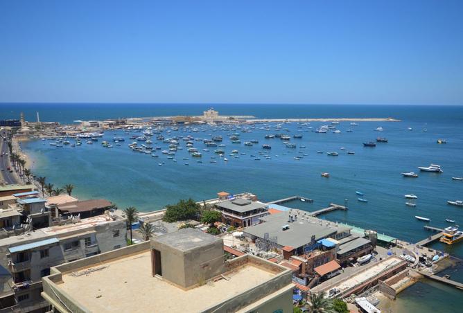91861642 - صورة العقار 2