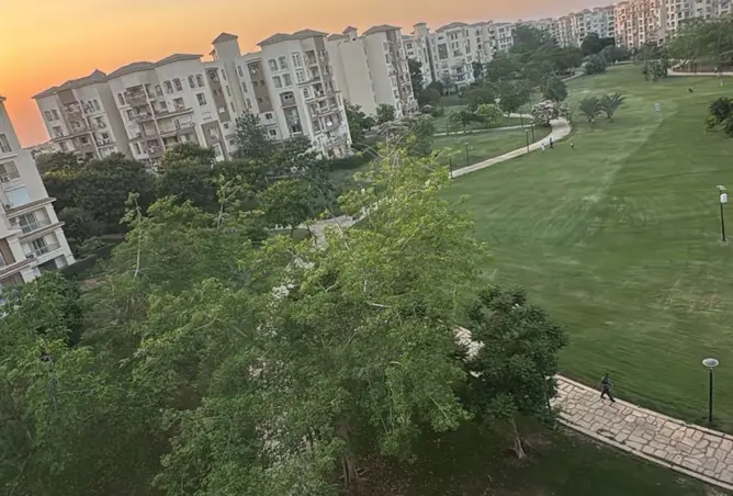 111314783 - صورة العقار 3