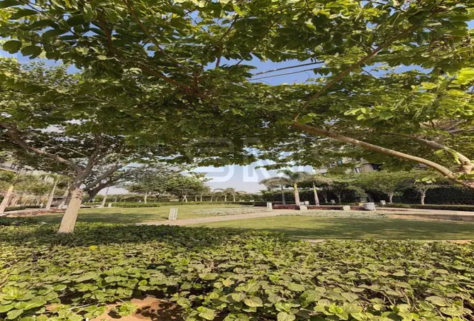 118807793 - صورة العقار 2