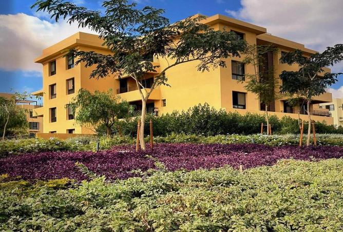 56004765 - صورة العقار 2