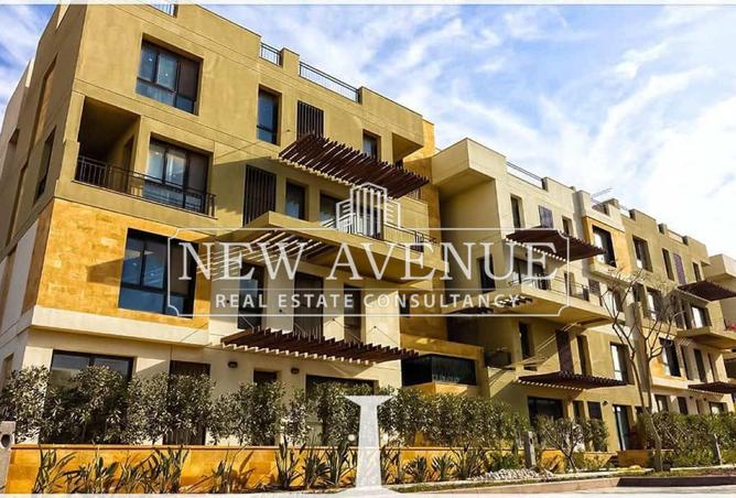 52444960 - Property Image 3