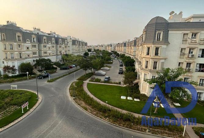 63397203 - Property Image 3