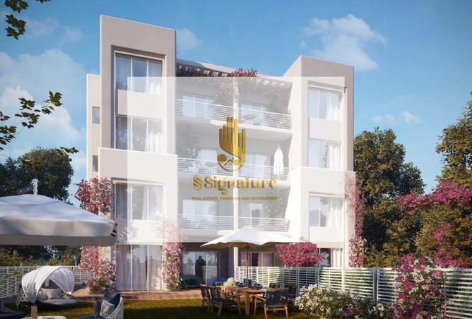 55755515 - Property Image 3