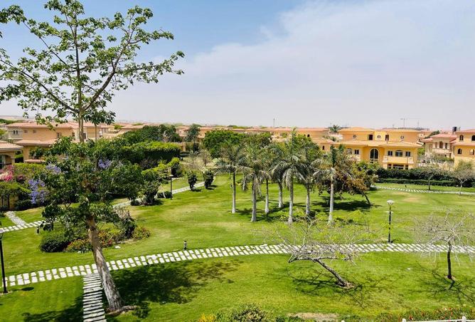 74041089 - صورة العقار 2