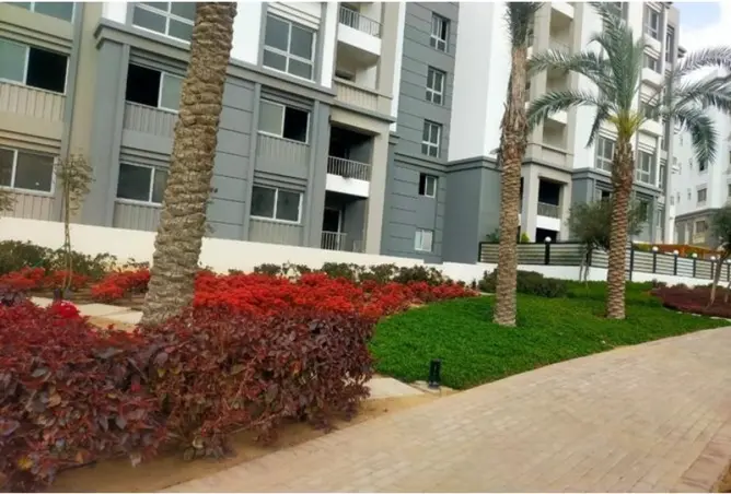 115453899 - صورة العقار 2