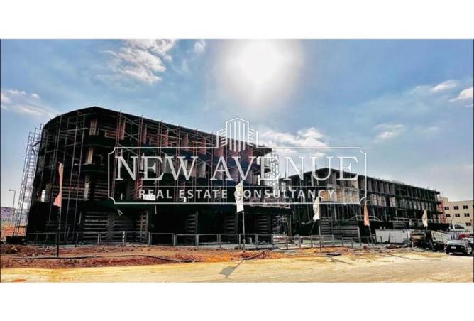 8589578 - Property Image 3