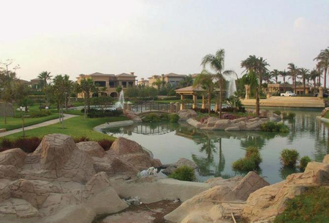 55497823 - صورة العقار 3