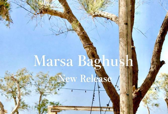 57242131 - صورة العقار 3