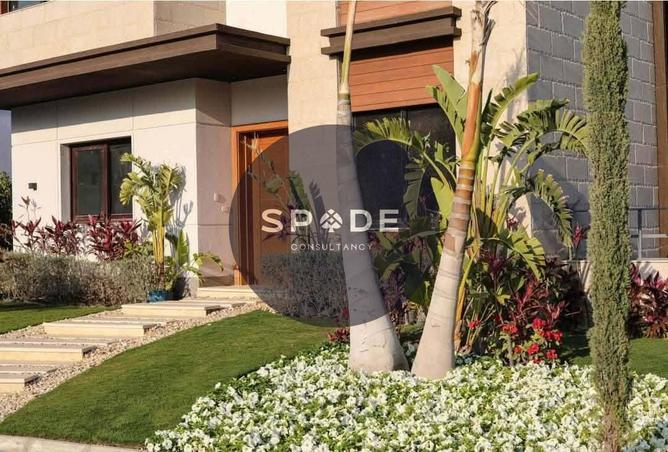 56251479 - Property Image 3