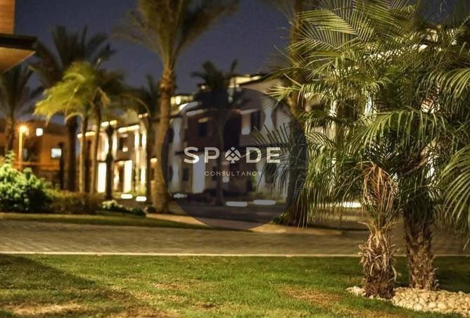 56251479 - Property Image 2