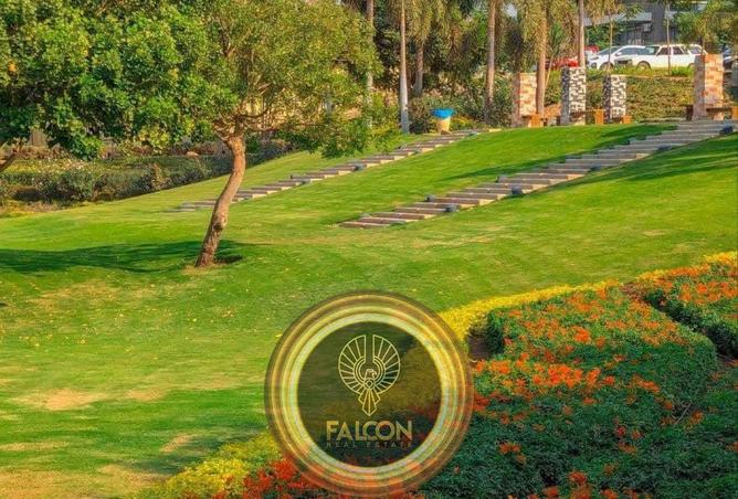 58495352 - صورة العقار 3