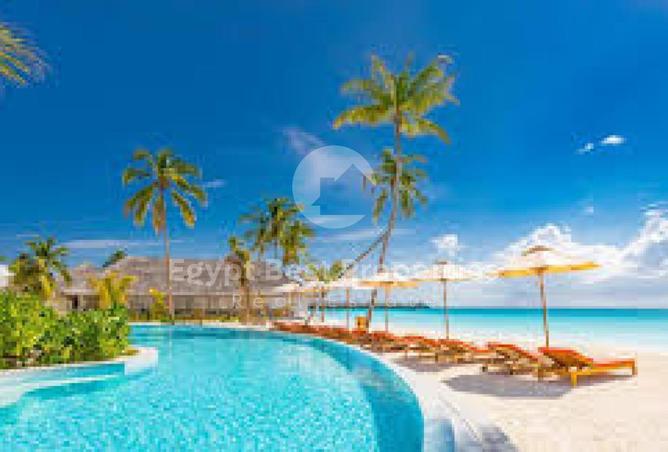 66684309 - صورة العقار 3