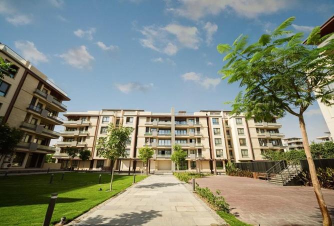 64638078 - Property Image 3