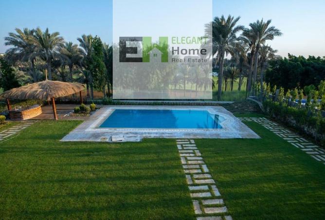 55503368 - صورة العقار 2