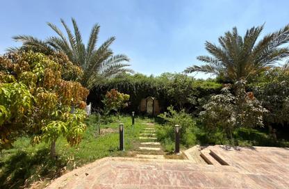 Villa - 4 Bedrooms - 4 Bathrooms for sale in Madinaty - Cairo Villa - 4 Bedrooms - 4 Bathrooms for sale in Madinaty - Cairo