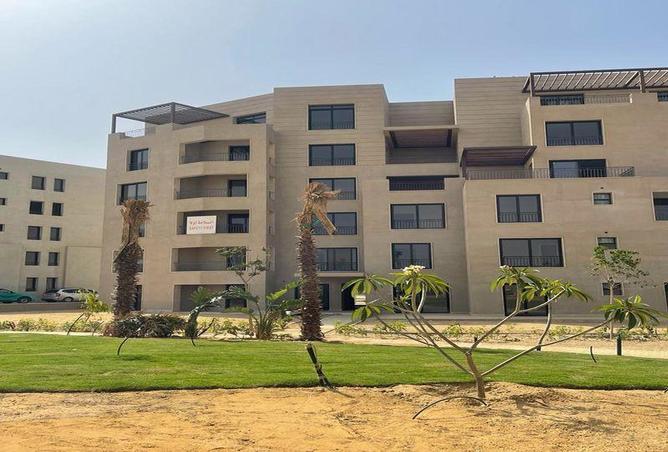 55761401 - Property Image 3