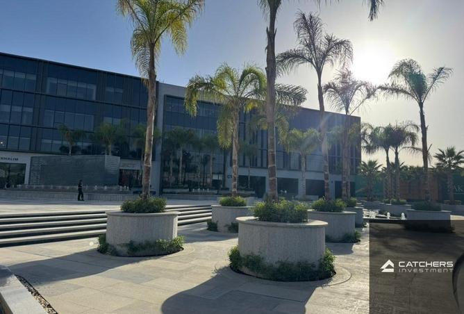 64907397 - صورة العقار 2