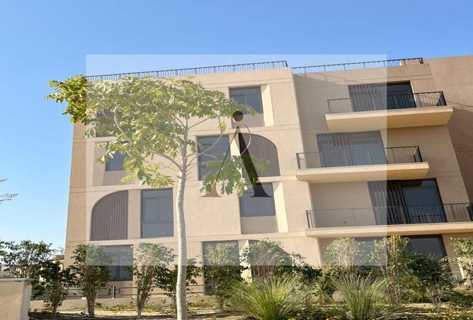 71646783 - Property Image 3