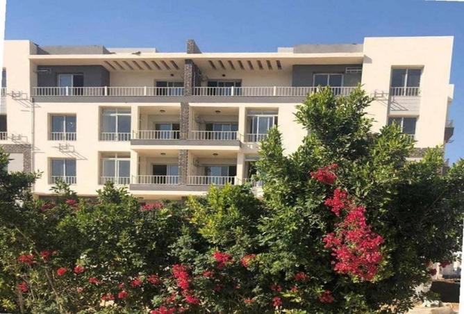 58241431 - Property Main Image