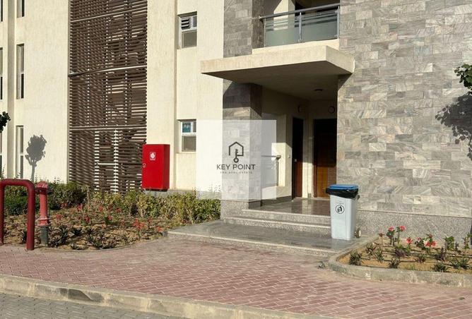 56246465 - صورة العقار 2