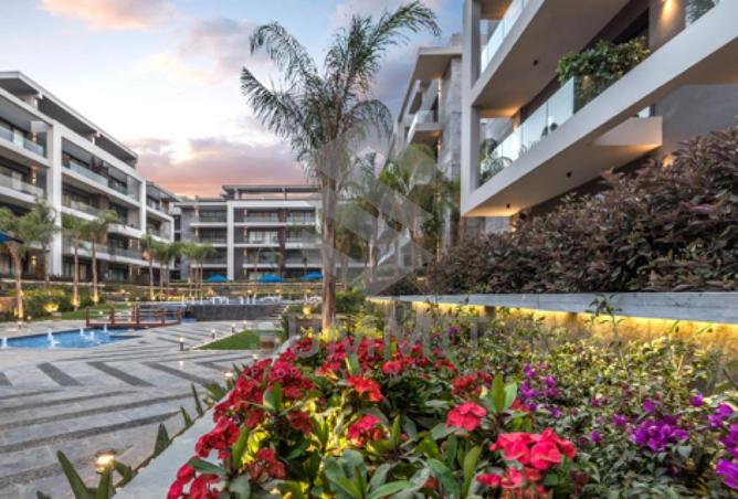 8572216 - Property Image 2