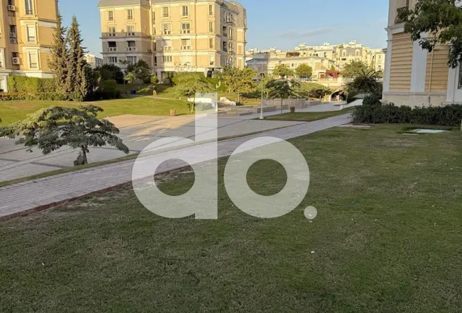 116743825 - Property Image 2