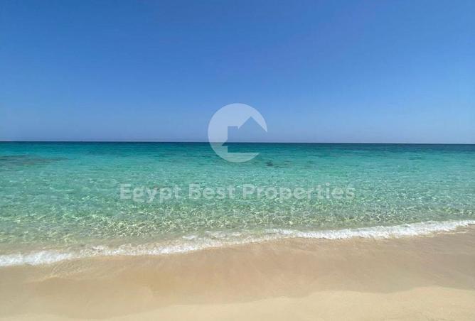97148819 - صورة العقار 2