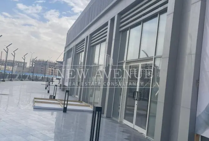 113531566 - Property Image 3