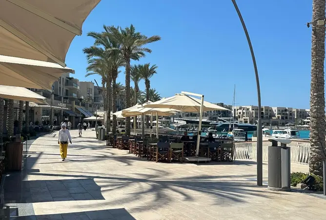 118788939 - صورة العقار 3
