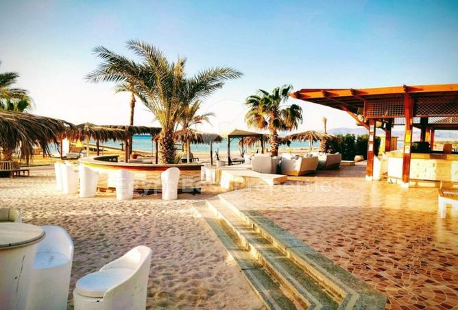 56505596 - صورة العقار 2