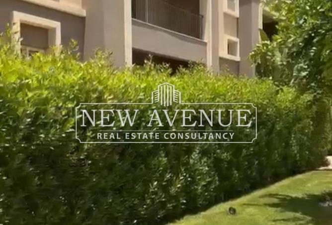 61195334 - Property Image 3