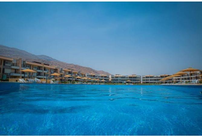 65920470 - Property Image 2