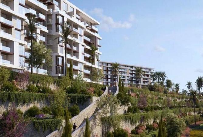 55251526 - Property Image 2