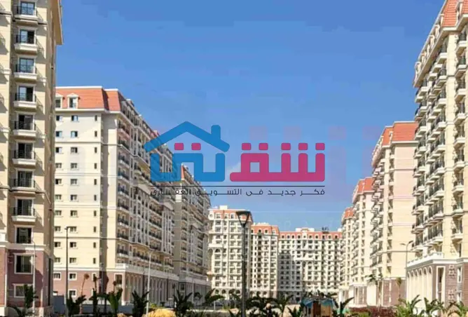 117272087 - Property Image 3