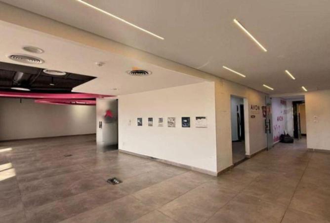 8703303 - صورة العقار 3