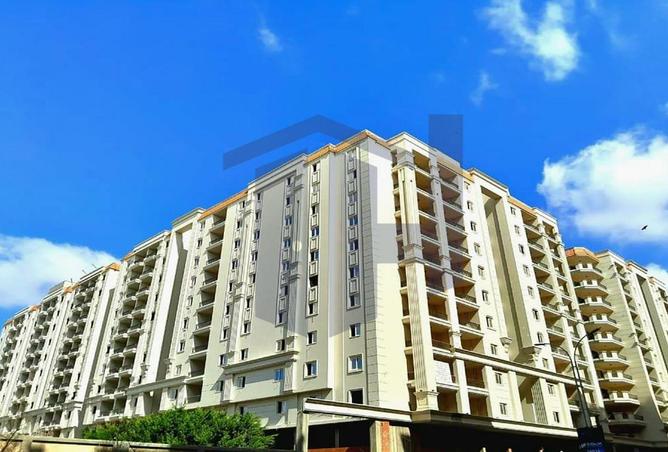 68795537 - Property Image 2