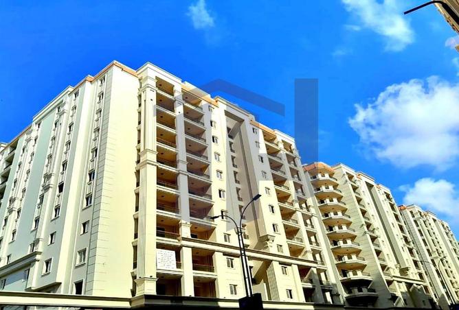 68795537 - Property Image 3