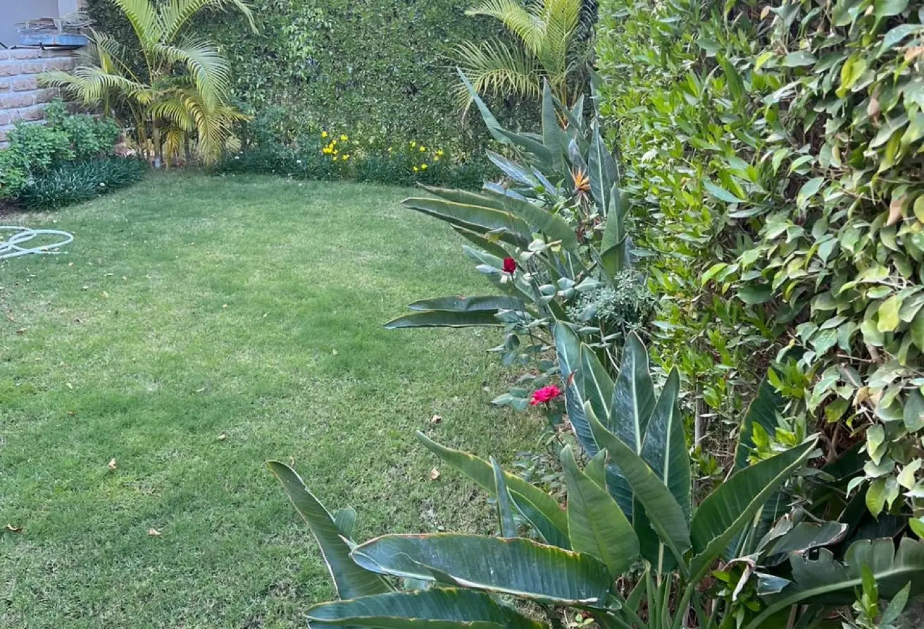 117535584 - الصورة الرئيسية للعقار