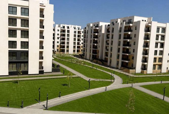 83681061 - Property Image 3