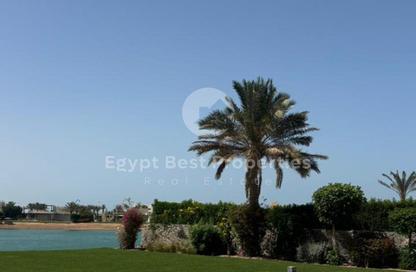 فيلا - 4 غرف نوم - 4 حمامات للبيع في نوبا - الجونة - الغردقة - محافظة البحر الاحمر فيلا - 4 غرف نوم - 4 حمامات للبيع في نوبا - الجونة - الغردقة - محافظة البحر الاحمر