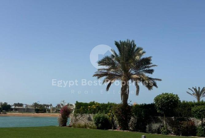 92976551 - Property Image 3